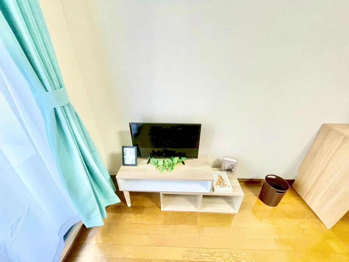 ※撮影用の観察植物・食器調理器具・雑貨類等はございません。※写真は現況優先