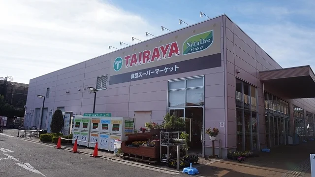 TAIRAYA並木店まで1250m
