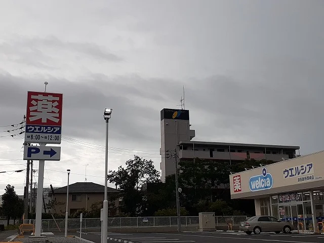 ウエルシア湖西新所岡崎店まで1200m