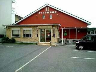 まつむら動物病院まで170m