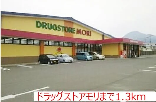 ドラッグストアモリまで1300m