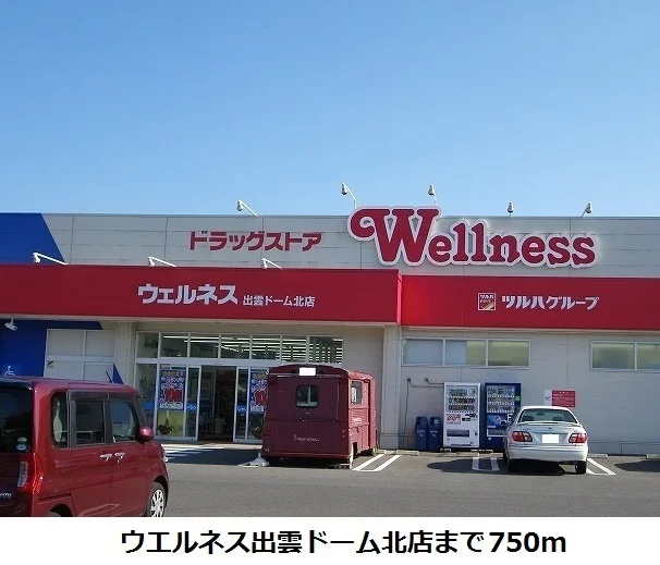 ウエルネス出雲ドーム北店まで750m