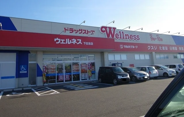 ウェルネス下古志店まで1300m