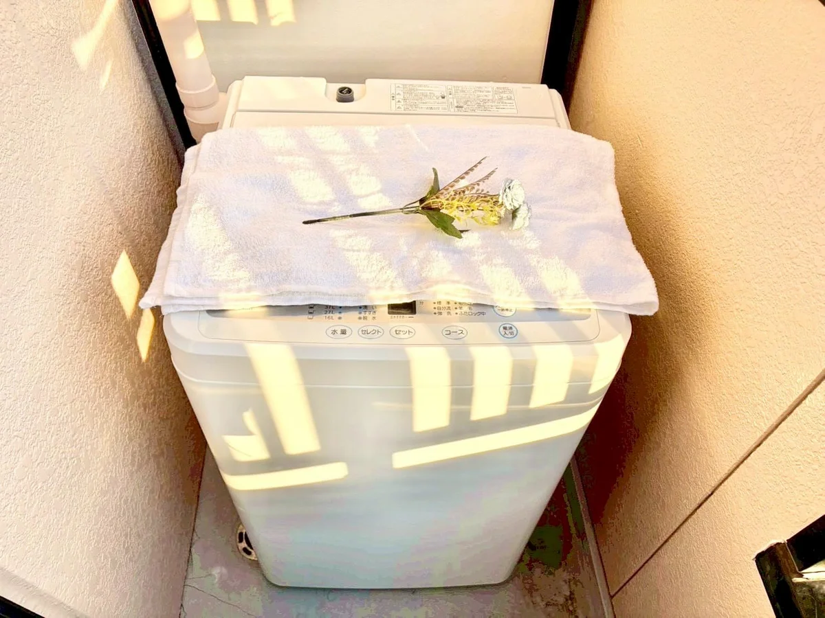 ※撮影用の観察植物・食器調理器具・雑貨類等はございません。※写真は現況優先