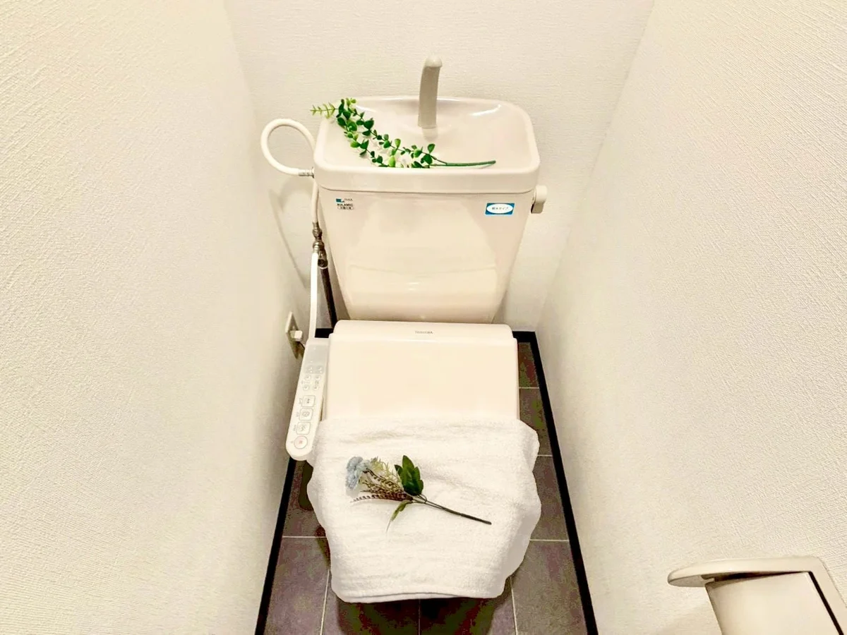 ※撮影用の観察植物・食器調理器具・雑貨類等はございません。※写真は現況優先