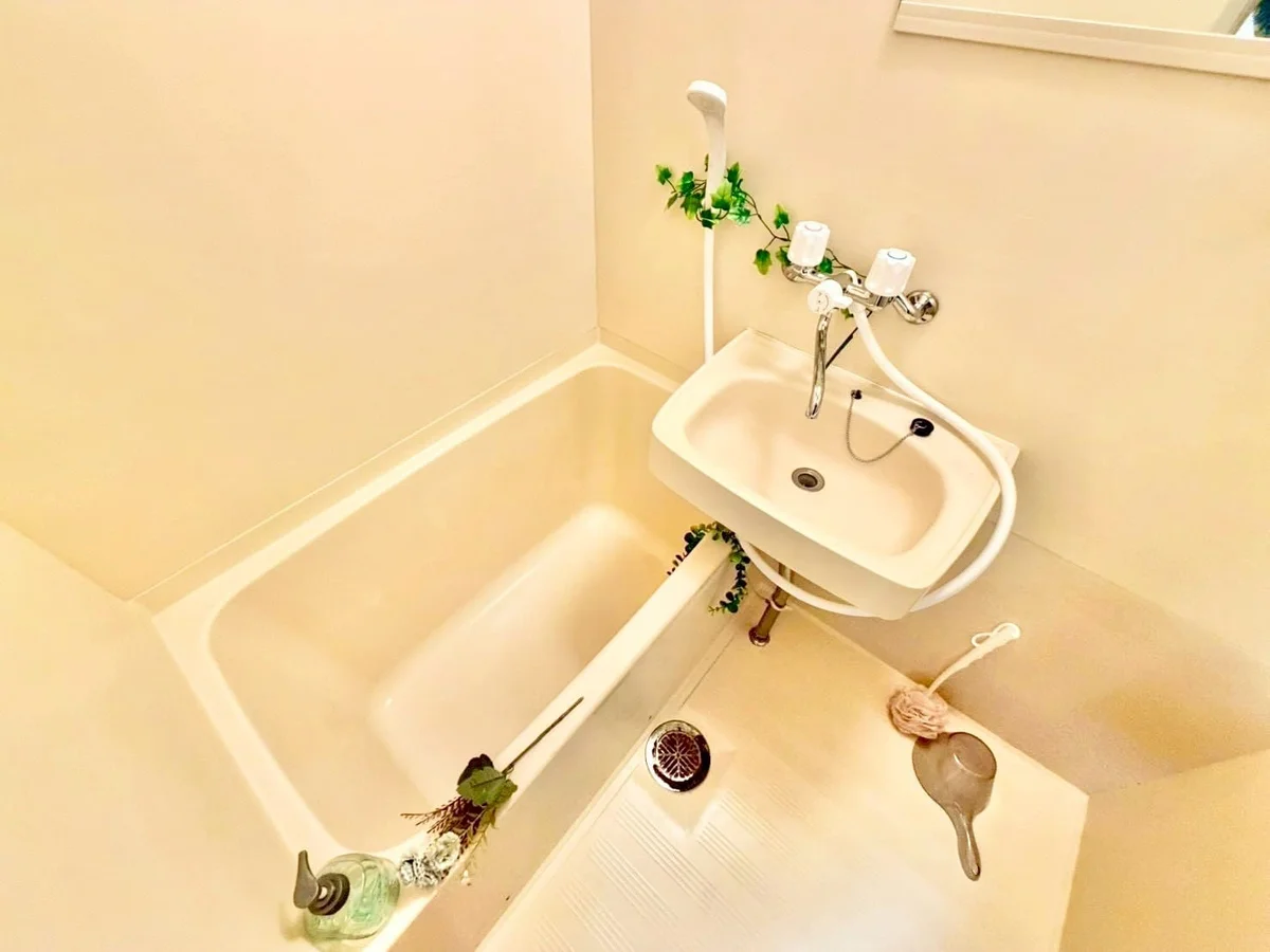 ※撮影用の観察植物・食器調理器具・雑貨類等はございません。※写真は現況優先