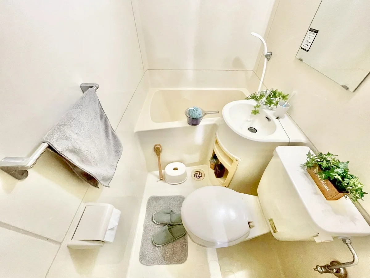 ※撮影用の観察植物・食器調理器具・雑貨類等はございません。※写真は現況優先