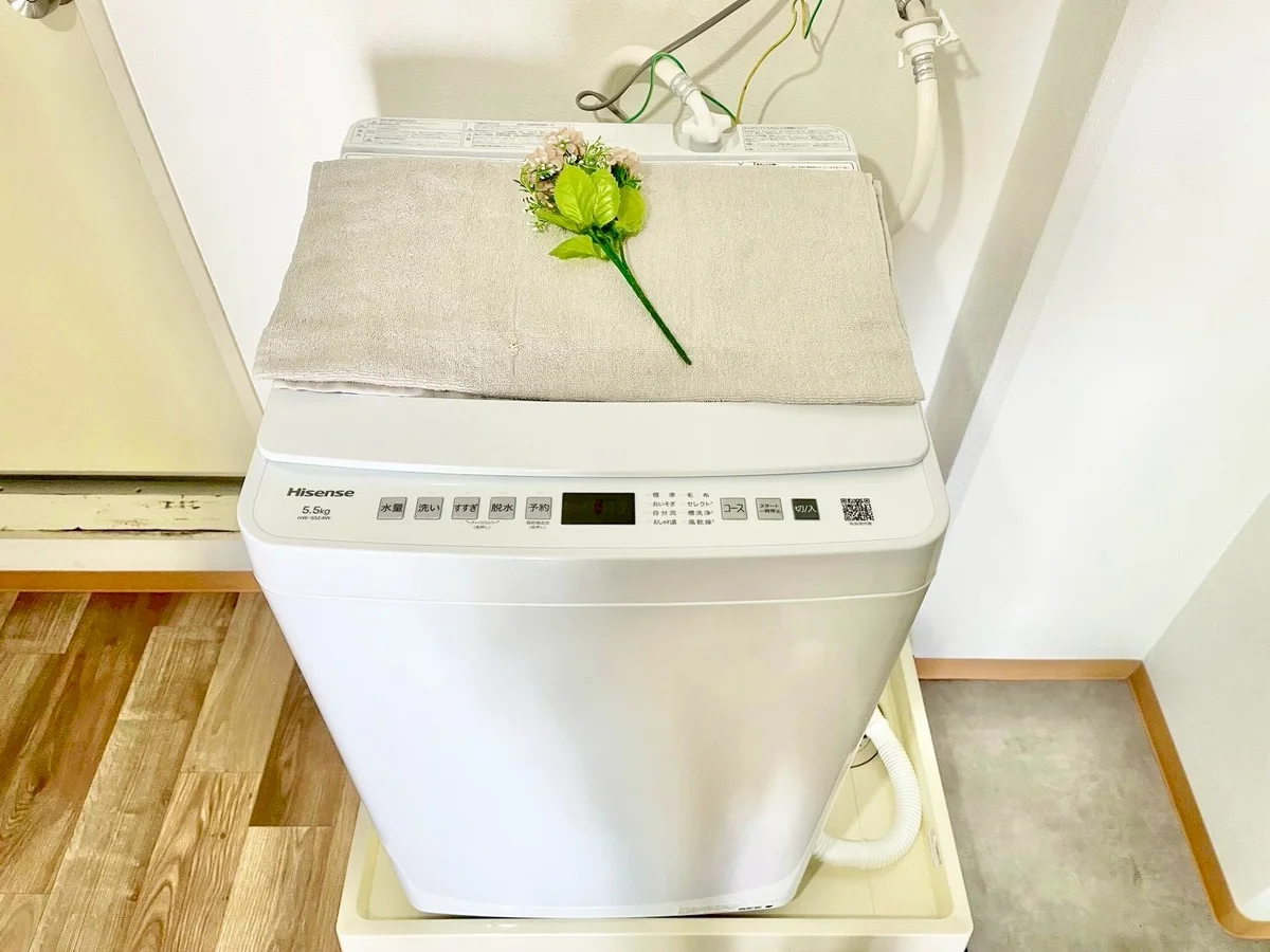 ※撮影用の観察植物・食器調理器具・雑貨類等はございません。※写真は現況優先