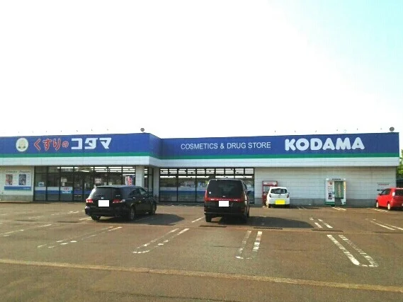 くすりのコダマまで700m