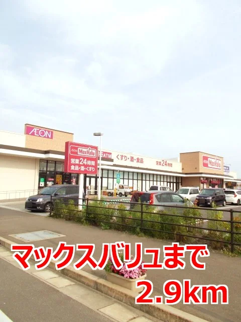 マックスバリュまで2900m