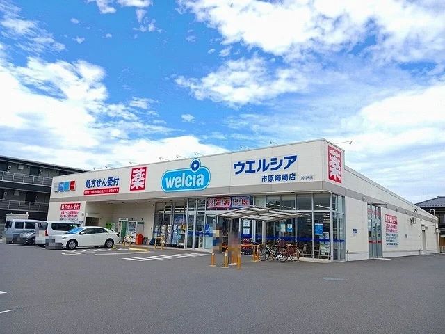 ウエルシア市原姉崎店まで350m