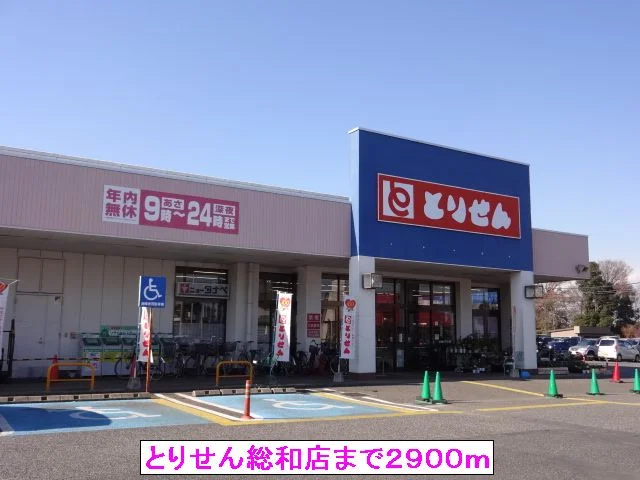 とりせん総和店まで2900m