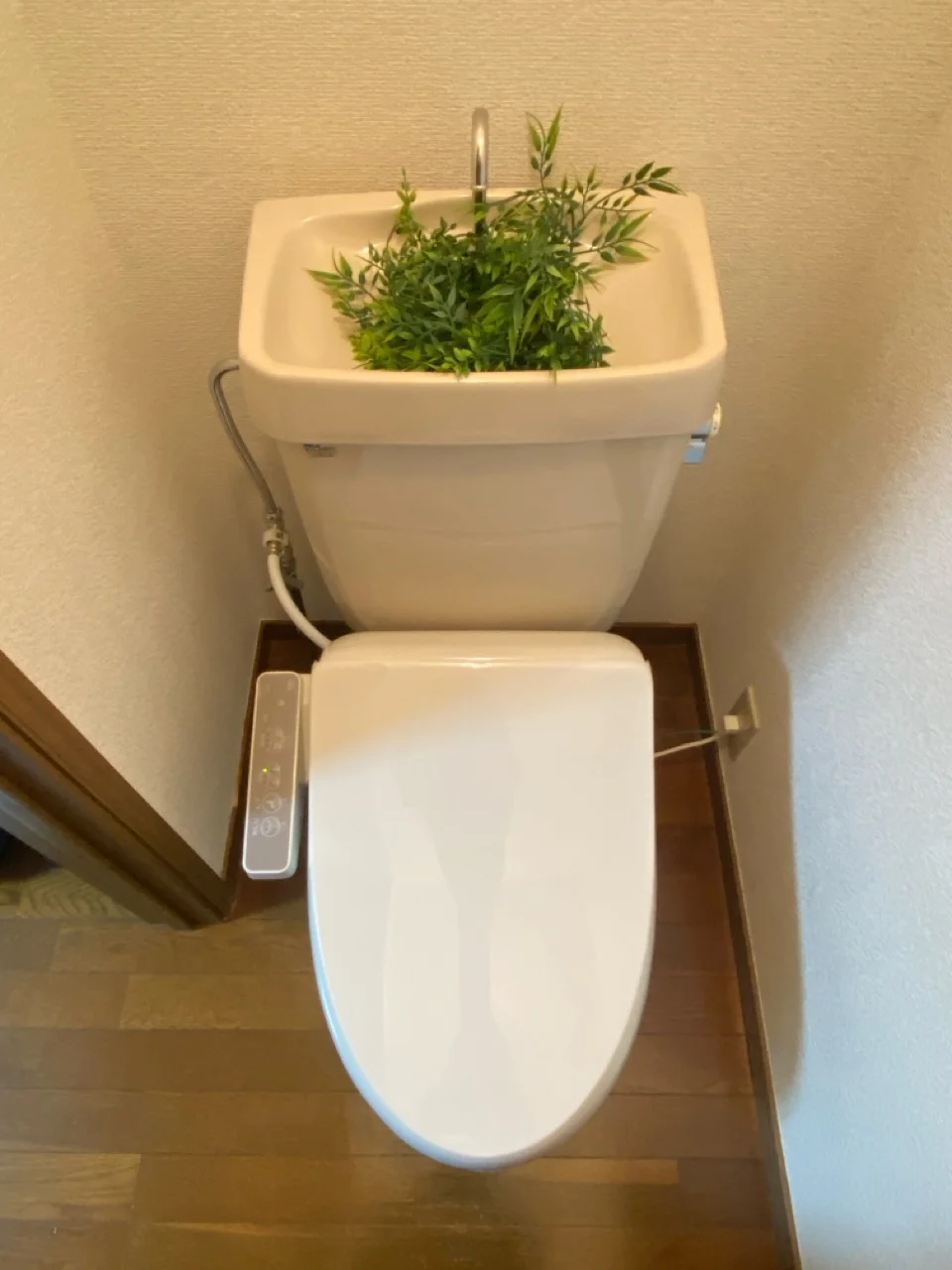 温水洗浄便座
