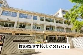 牧の原小学校まで350m