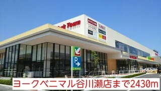 ヨークベニマル谷川瀬店まで2430m