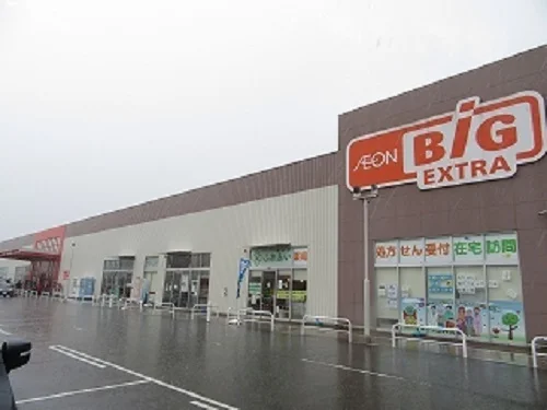 ザ・ビッグ氷上店まで1200m