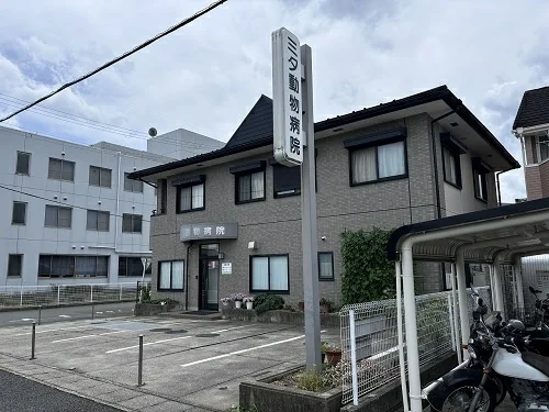 ミタ動物病室まで454m