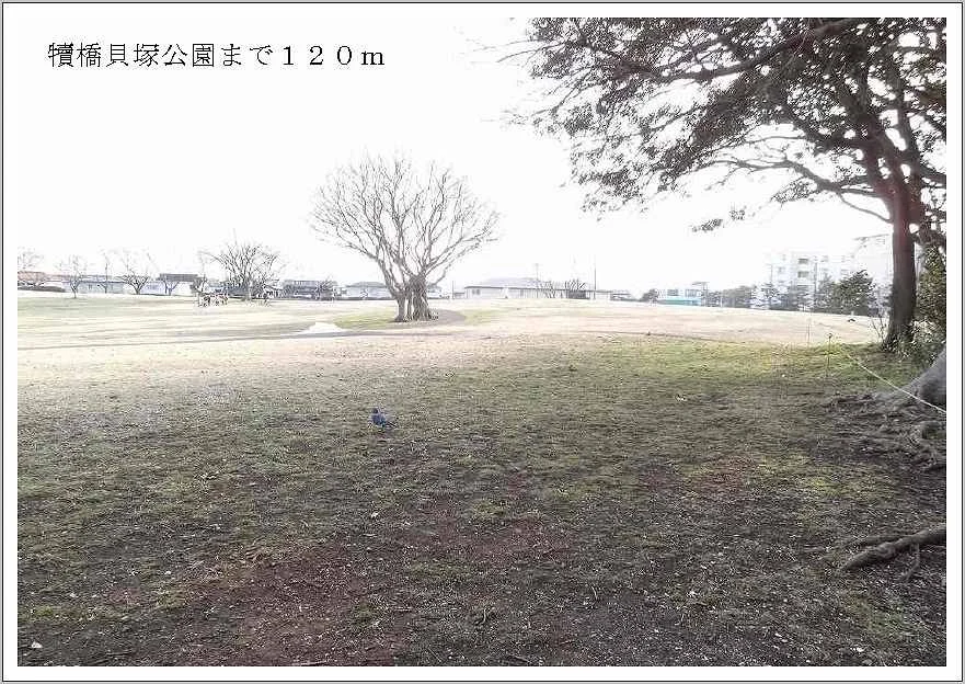 犢橋貝塚公園まで120m
