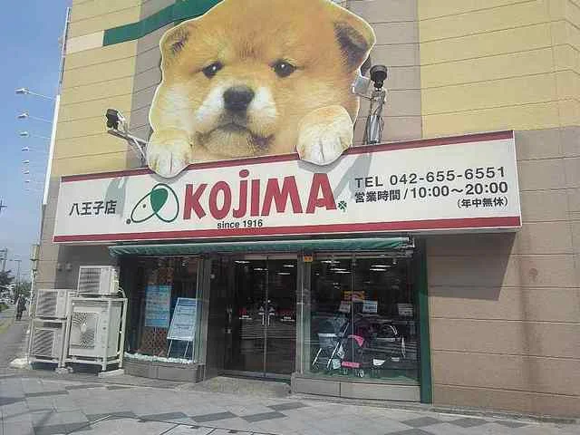 ペットのKOJIMAまで400m