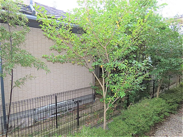 1階からのアングルです