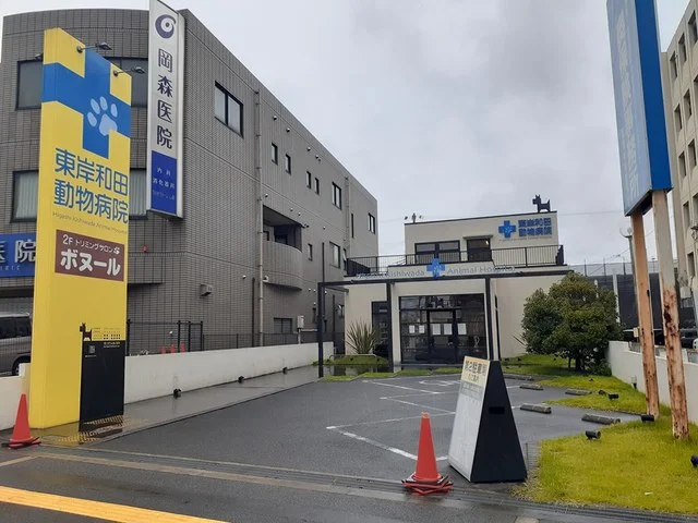 東岸和田動物病院様まで1243m