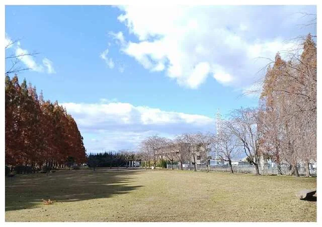 石垣池公園まで1000m