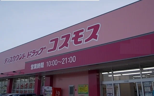コスモス両三柳店まで750m