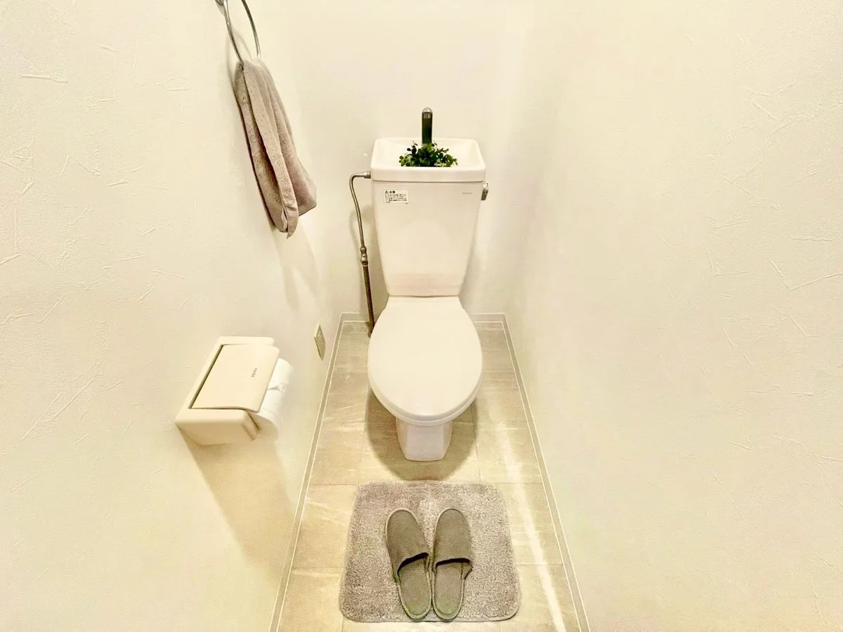 ※撮影用の観察植物・食器調理器具・雑貨類等はございません。※写真は現況優先