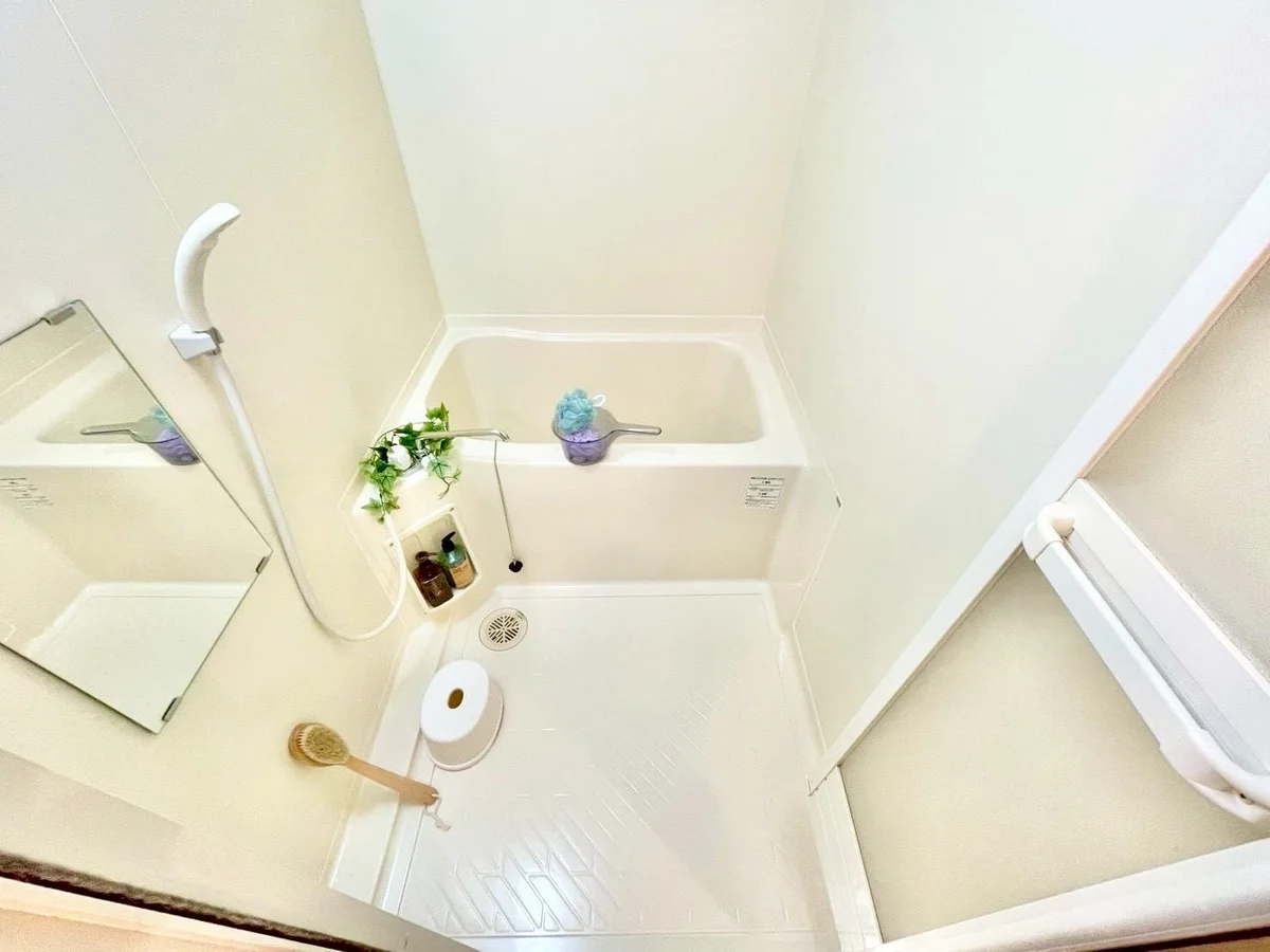 ※撮影用の観察植物・食器調理器具・雑貨類等はございません。※写真は現況優先