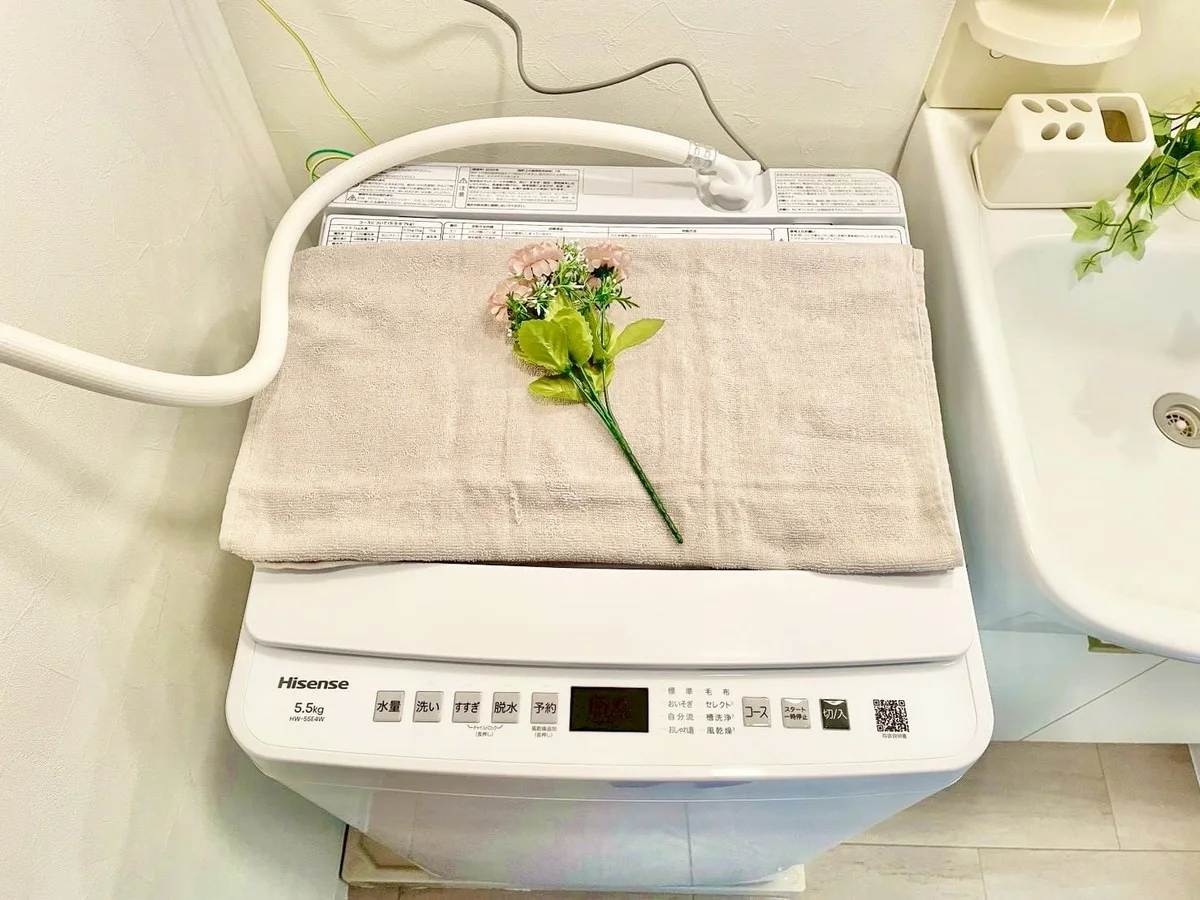 ※撮影用の観察植物・食器調理器具・雑貨類等はございません。※写真は現況優先