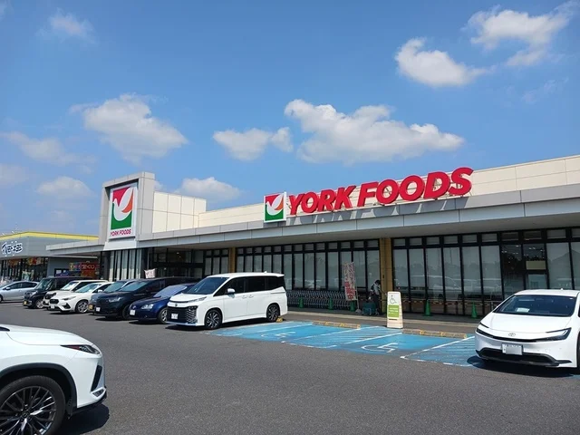 ヨークフーズ柏の葉公園店まで759m