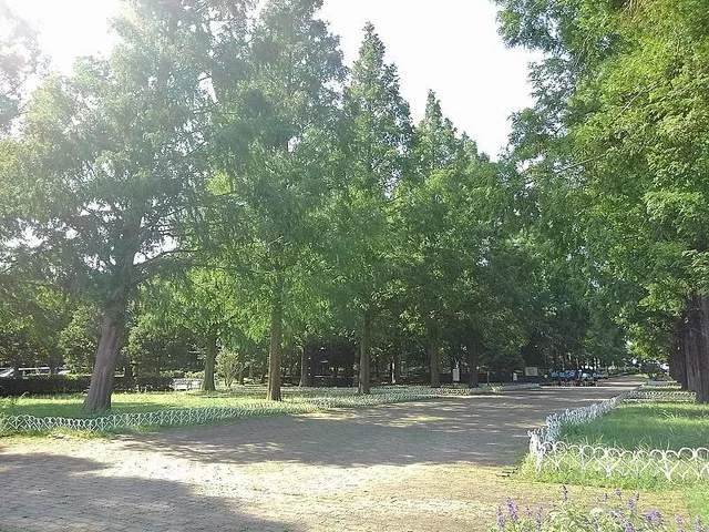 そうか公園まで650m
