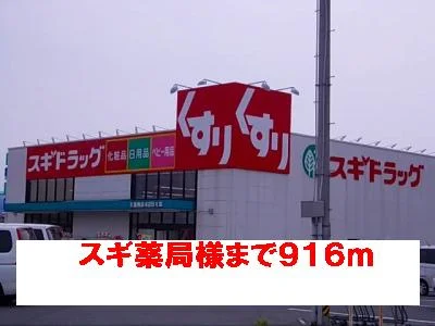 スギ薬局様まで916m