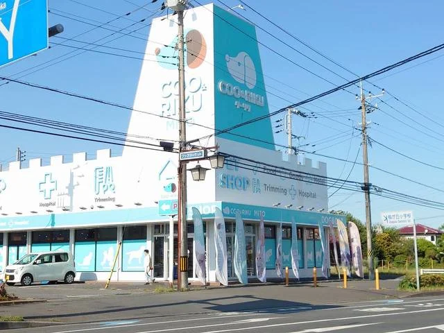 ペットショップCoo&RIKUまで700m