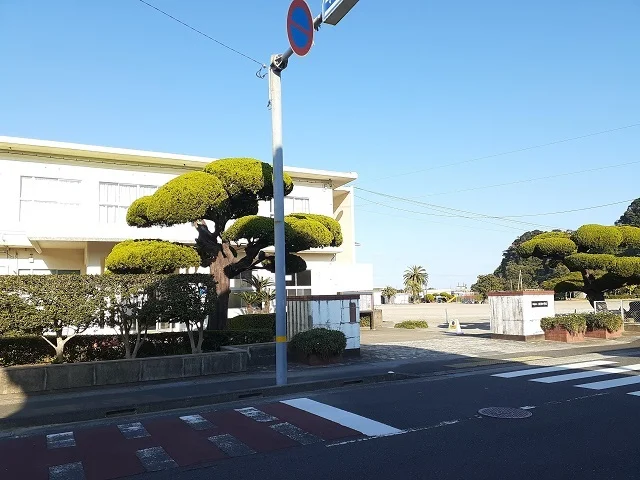 日南市立油津小学校まで270m