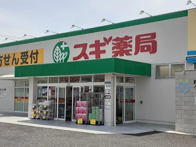 スギドラッグ松河戸店まで2200m