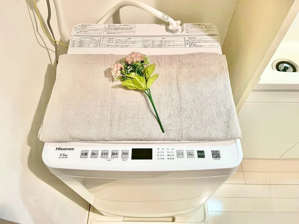 ※撮影用の観察植物・食器調理器具・雑貨類等はございません。※写真は現況優先