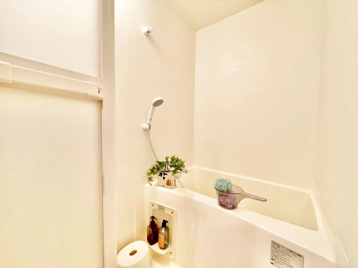 ※撮影用の観察植物・食器調理器具・雑貨類等はございません。※写真は現況優先