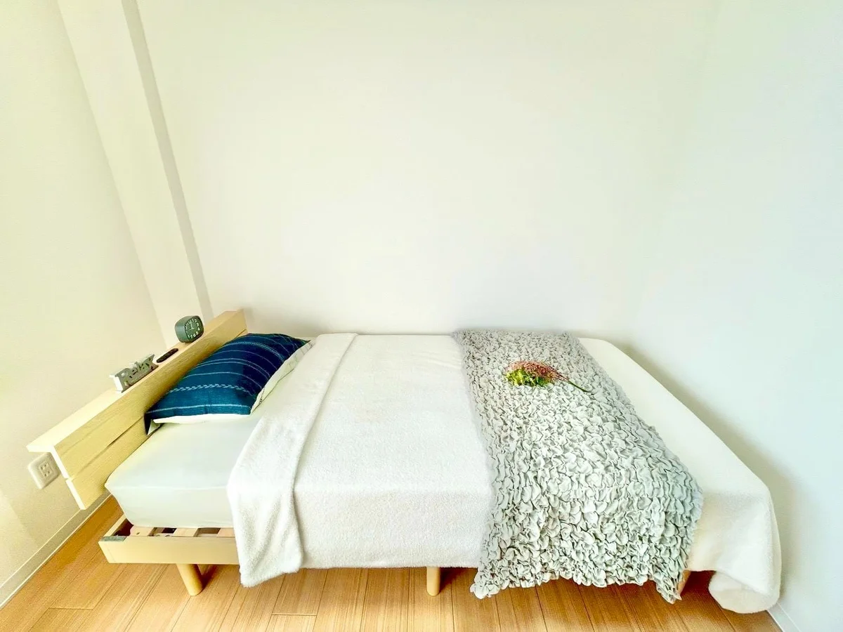 ※撮影用の観察植物・食器調理器具・雑貨類等はございません。※写真は現況優先