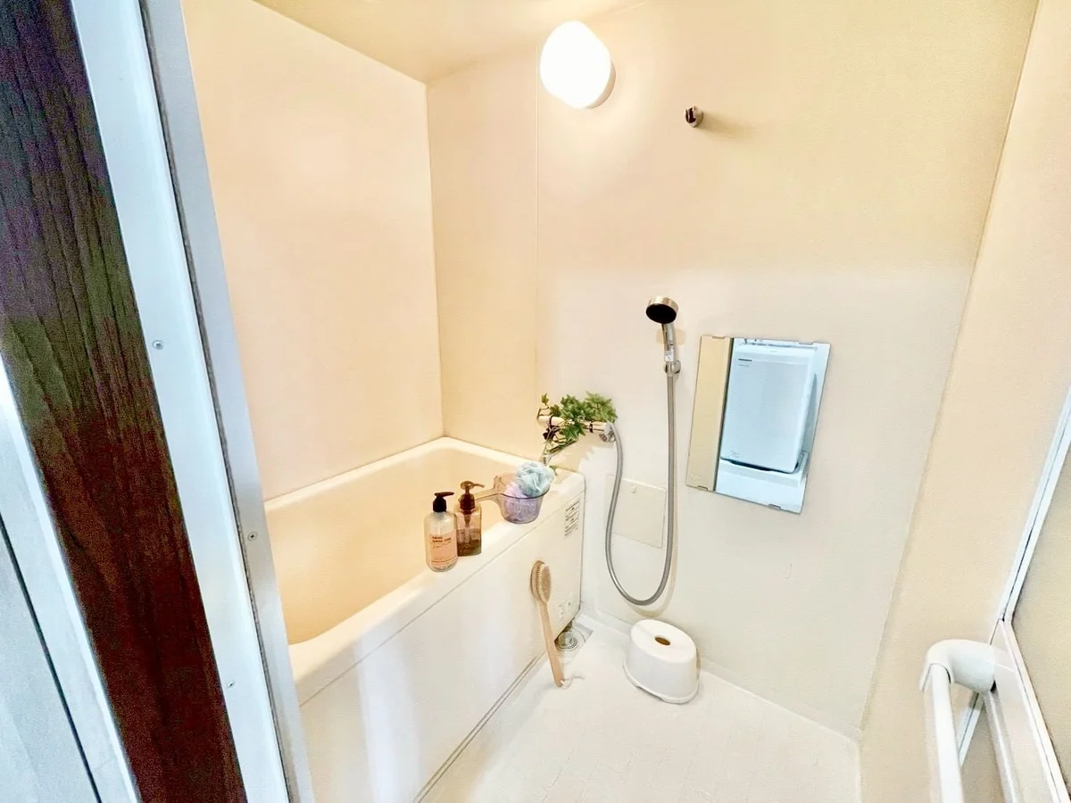 ※撮影用の観察植物・食器調理器具・雑貨類等はございません。※写真は現況優先