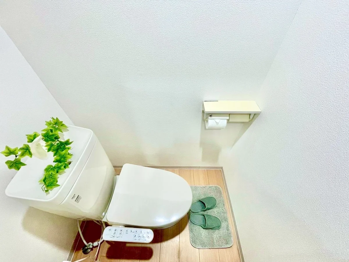 ※撮影用の観察植物・食器調理器具・雑貨類等はございません。※写真は現況優先