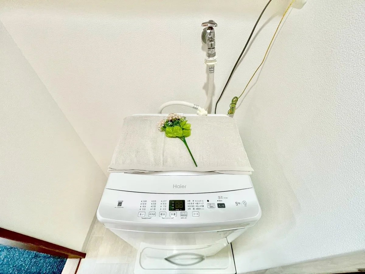 ※撮影用の観察植物・食器調理器具・雑貨類等はございません。※写真は現況優先