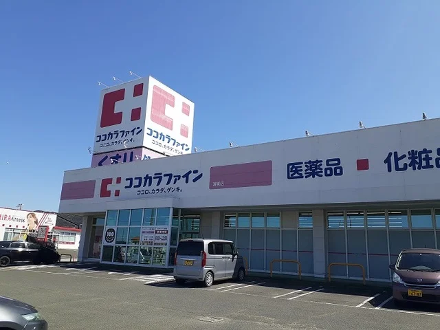 ココカラファイン渥美店まで1310m