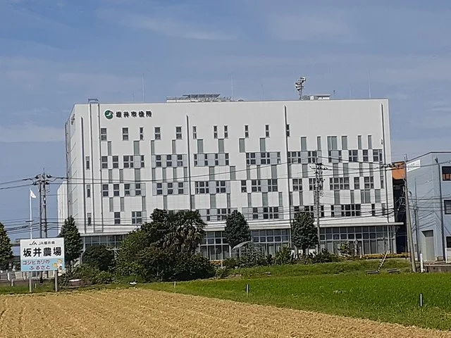 坂井市役所まで233m