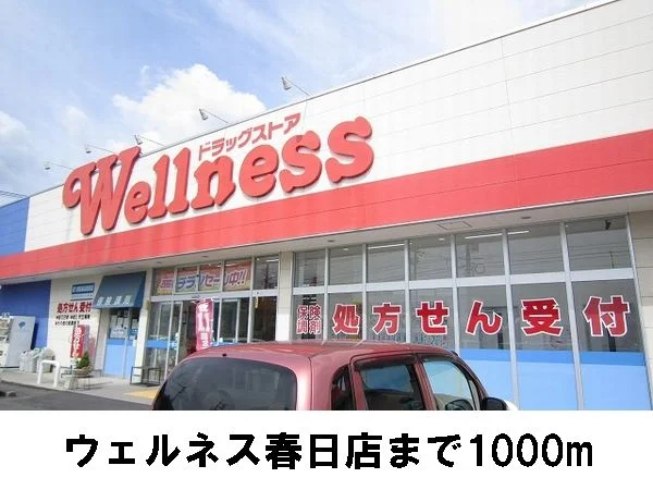 ウェルネス春日店まで1000m