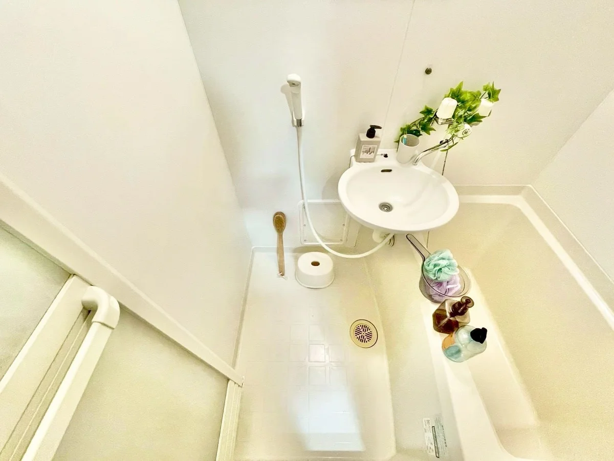 ※撮影用の観察植物・食器調理器具・雑貨類等はございません。※写真は現況優先