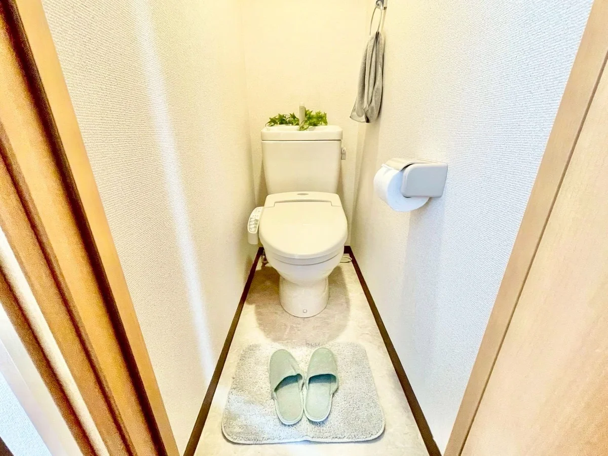 ※撮影用の観察植物・食器調理器具・雑貨類等はございません。※写真は現況優先