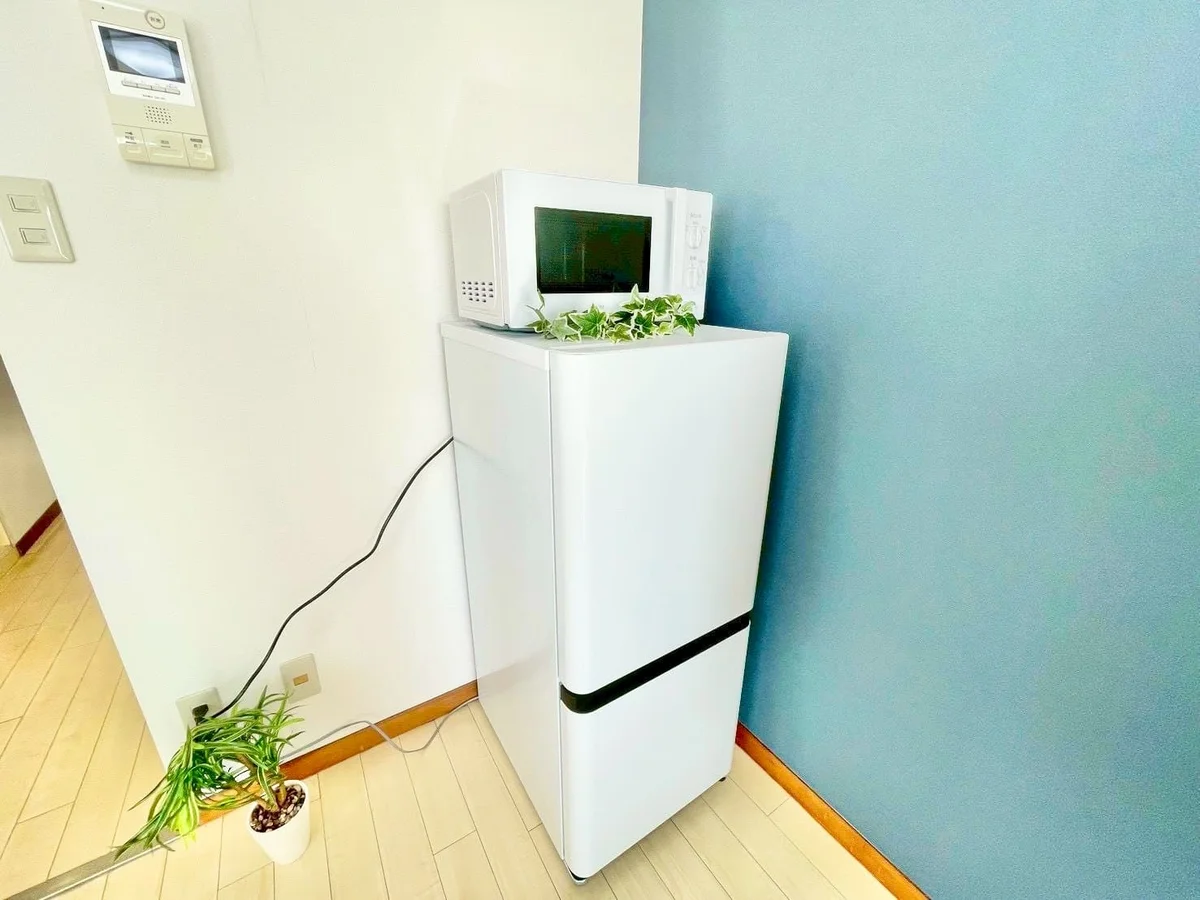 ※撮影用の観察植物・食器調理器具・雑貨類等はございません。※写真は現況優先