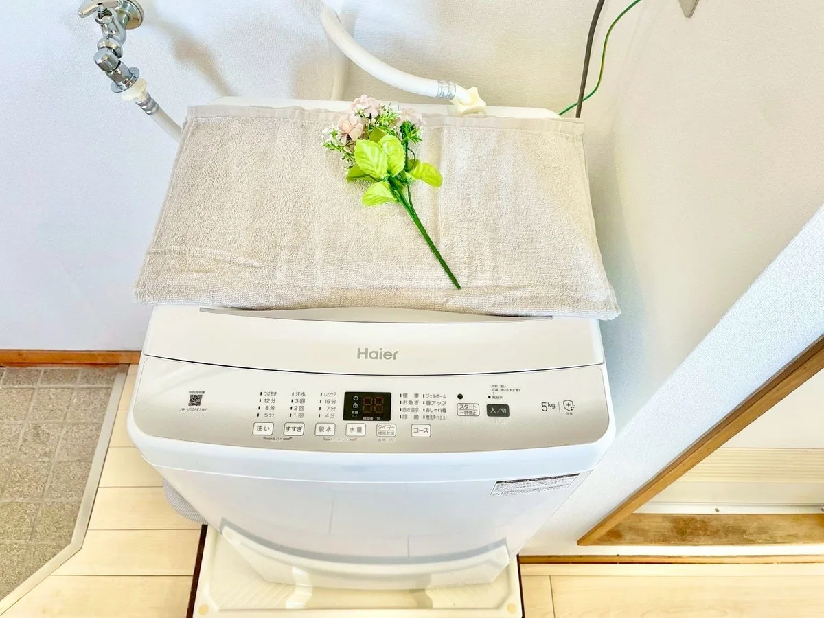 ※撮影用の観察植物・食器調理器具・雑貨類等はございません。※写真は現況優先