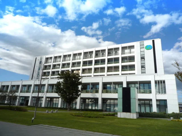 つくば市役所まで50m